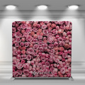 Rose flower 8ft portable fabric backdrops stands